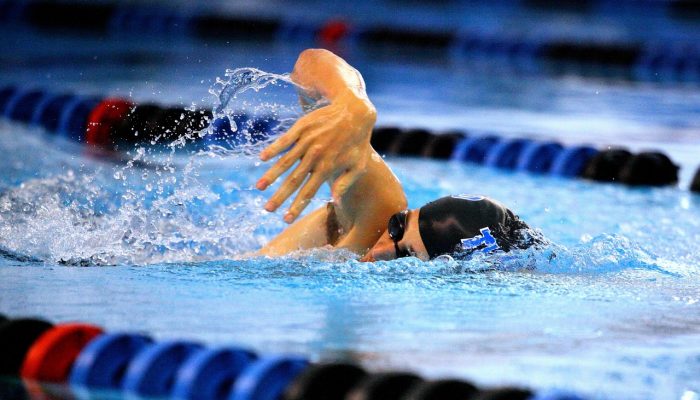 swimming-6276553_1280